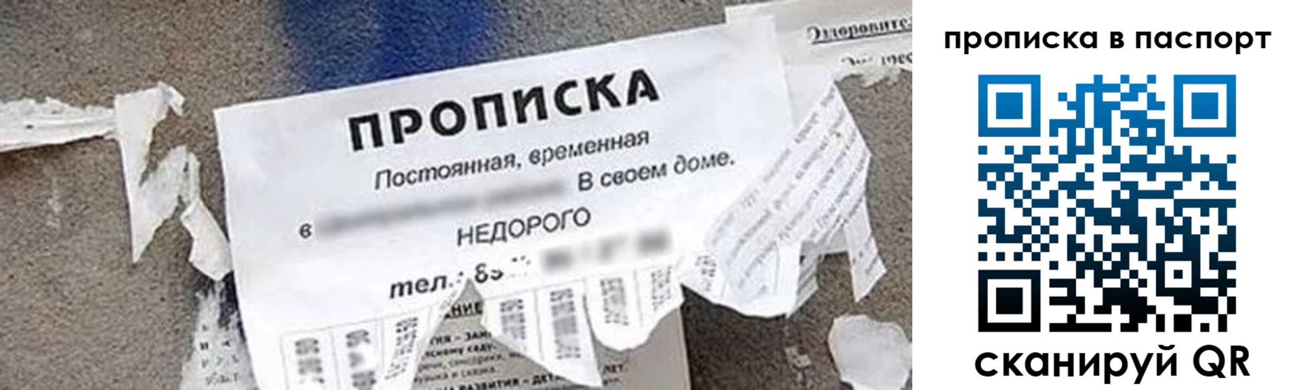 где прописаться в Орле